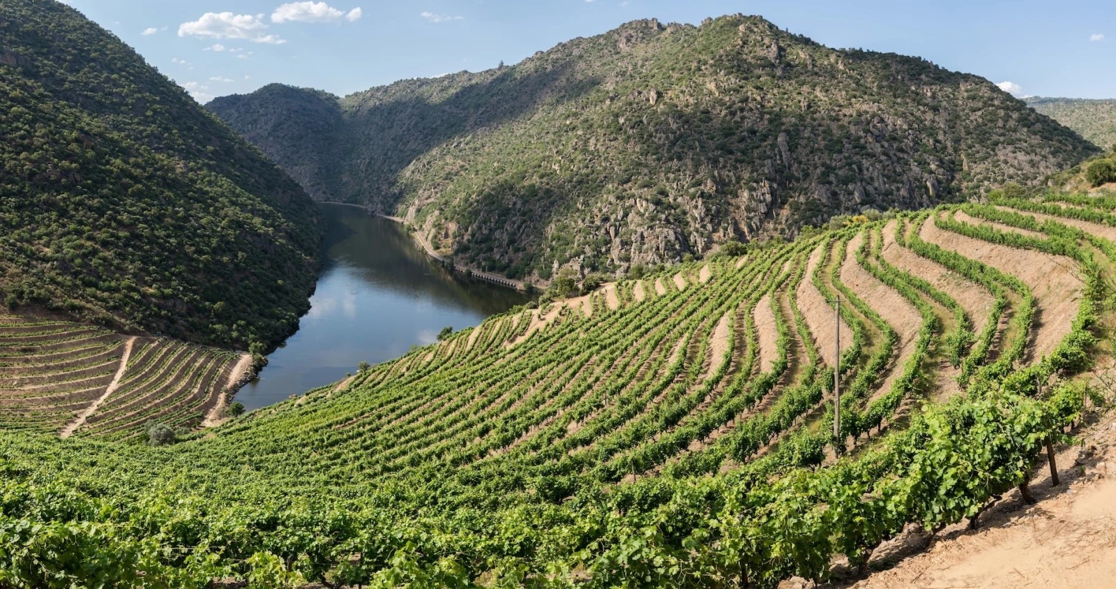 Rui Roboredo Madeira Weingut Tesch
