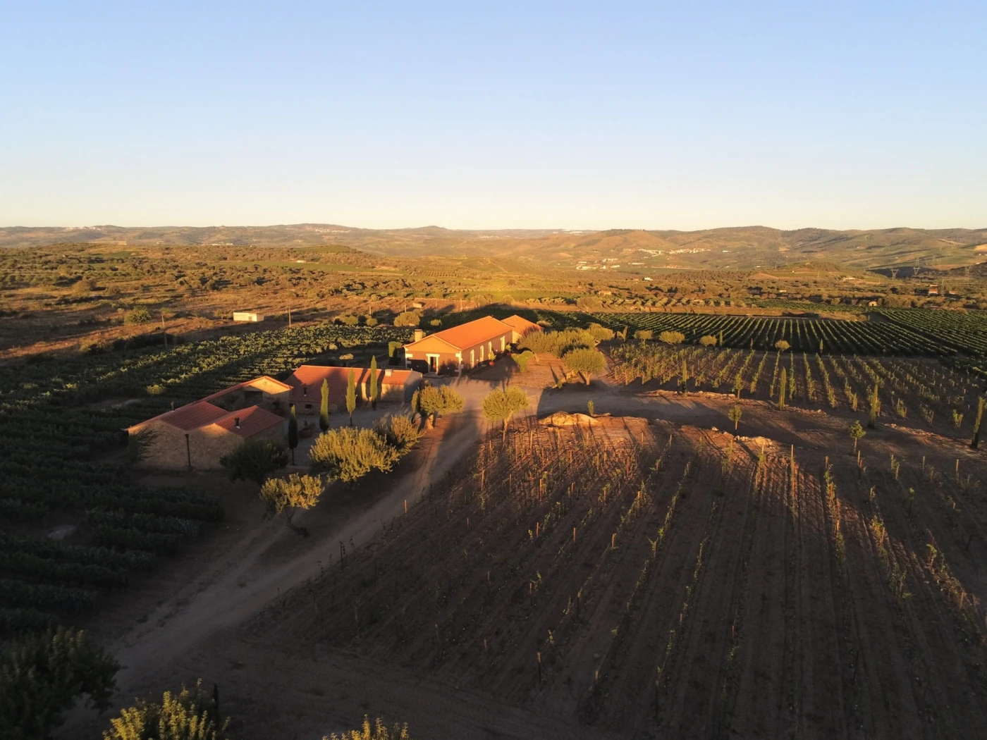 Rui Roboredo Madeira Weingut Tesch