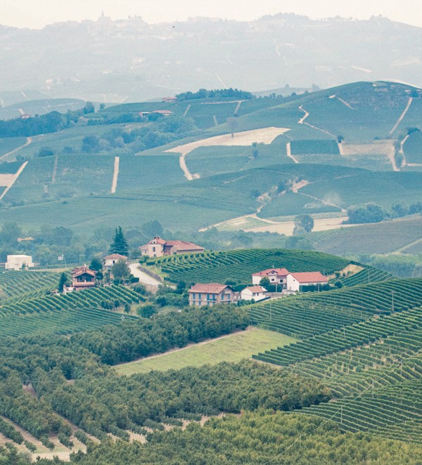 Cantina Damilano