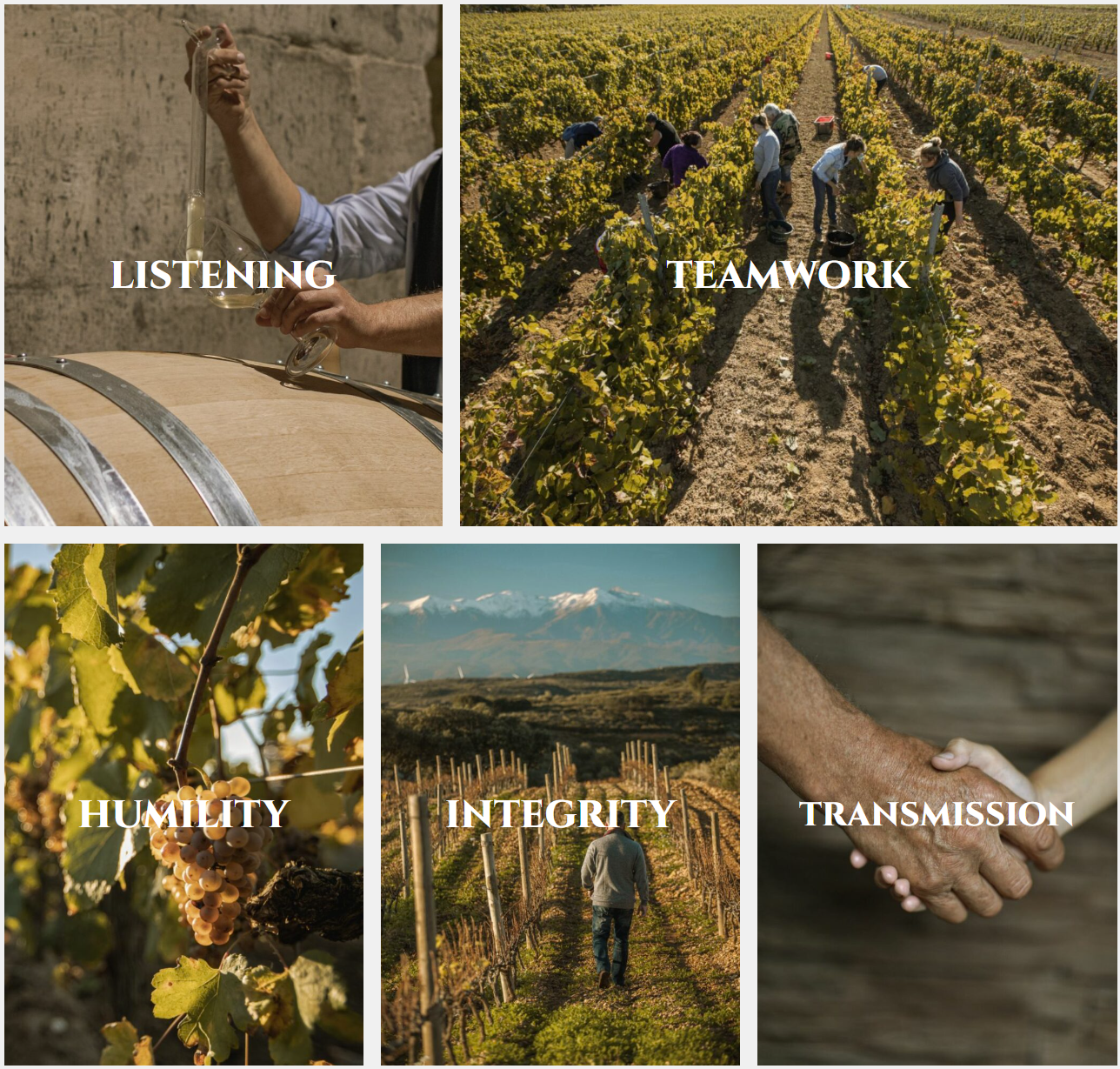 Domaine Anita