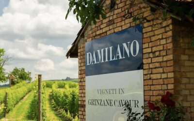 Cantina Damilano lanseres i Norge